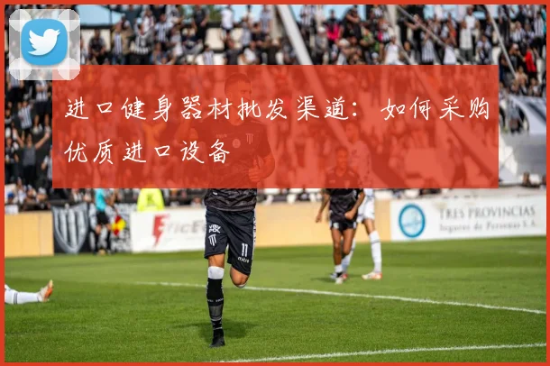 进口健身器材批发渠道：如何采购优质进口设备